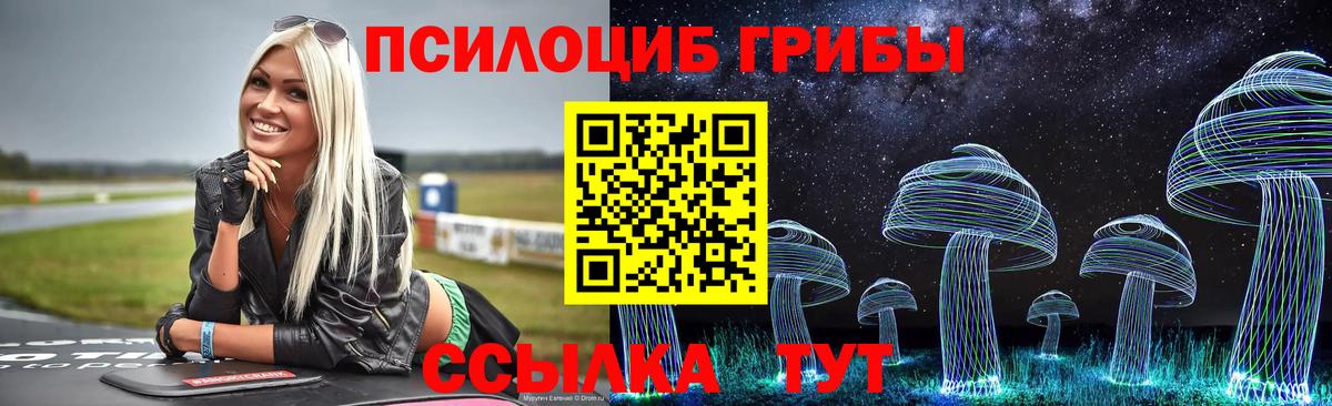 Галлюциногенные грибы Magic Shrooms Тимашёвск